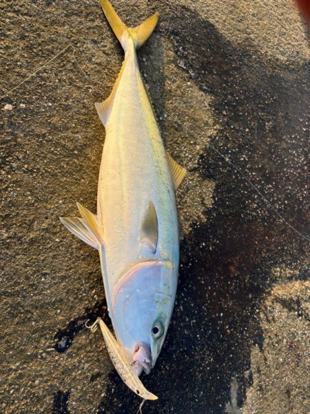 釣り納め