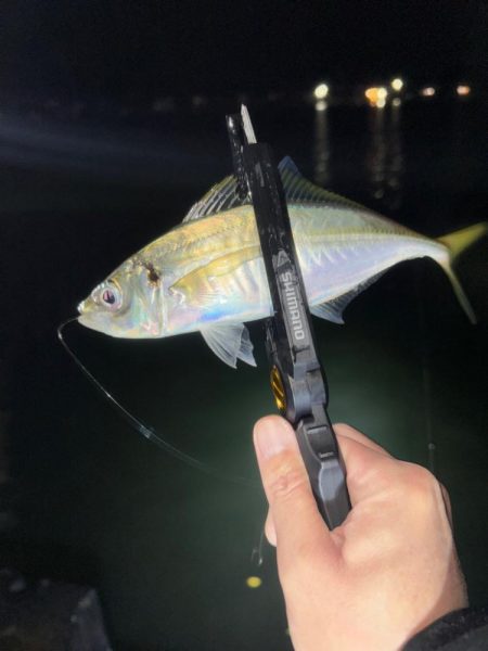 釣り納め