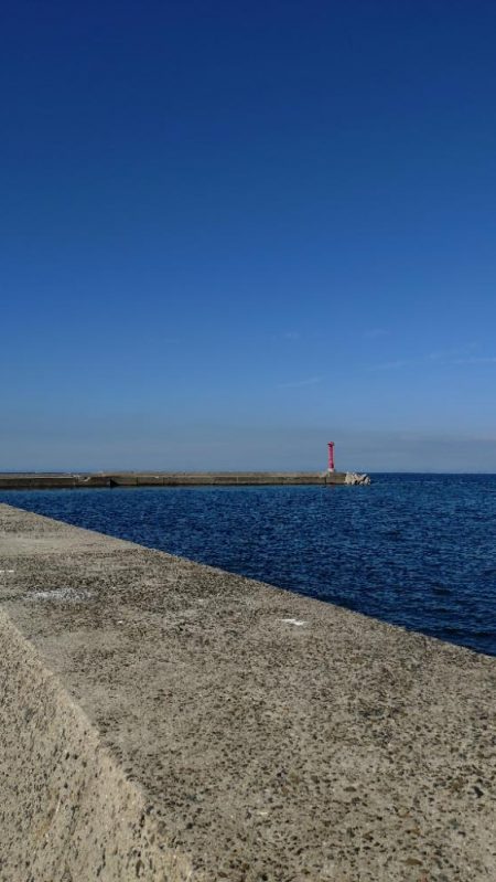 淡路島釣行