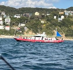 ダイワさんのカワハギイベントに参加してきました