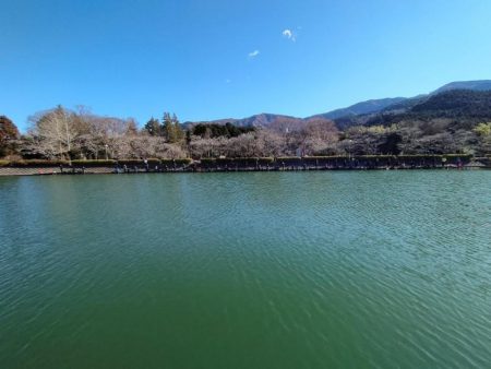 今年最後の釣りは？