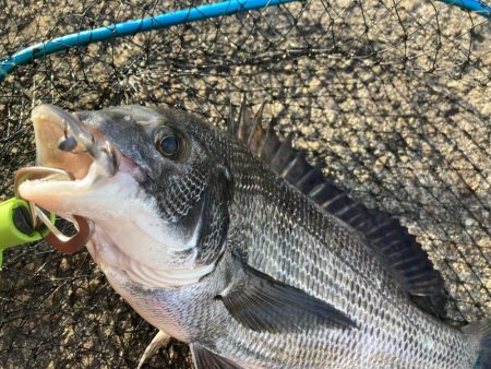 釣り納め