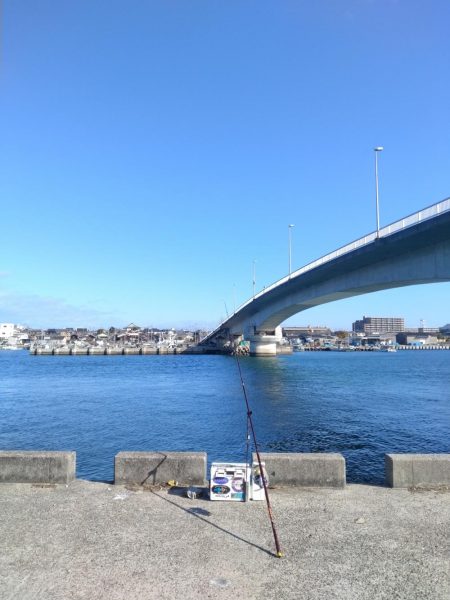 東二見のキス調査