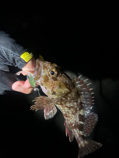 釣り納め