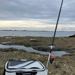 沖磯でグレ釣り