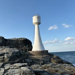 高島 アシカ瀬