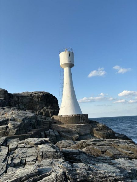 高島 アシカ瀬