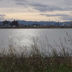 紀の川 終盤のメッキ釣行