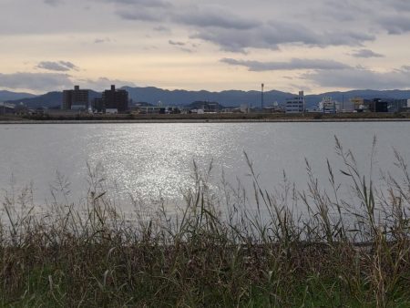 紀の川 終盤のメッキ釣行