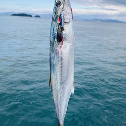 根魚を釣るように