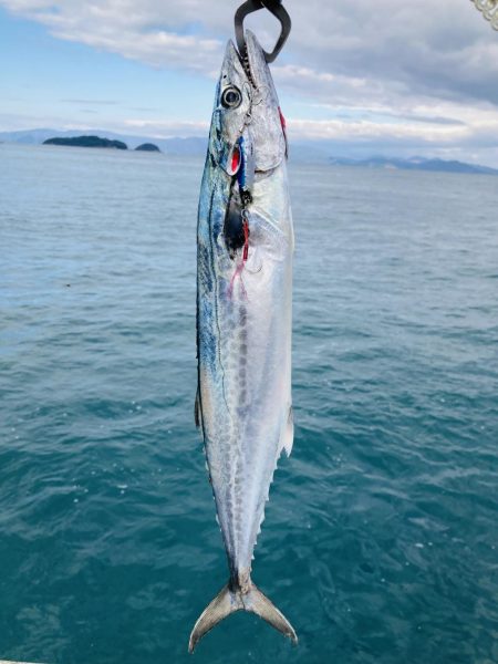 根魚を釣るように