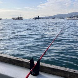 泉州丸さんで太刀魚