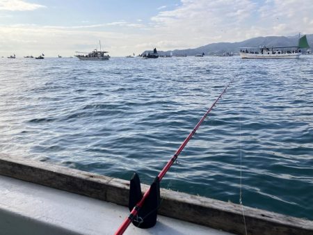 泉州丸さんで太刀魚