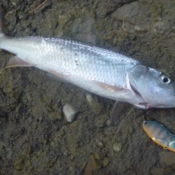 師走のバス釣り