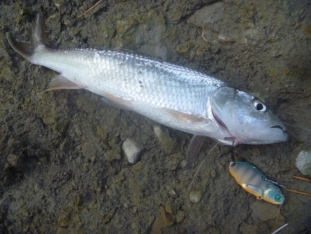 師走のバス釣り