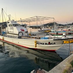 今年の釣り納めはいい感じでしたー