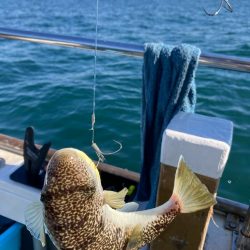 播磨のカットウ釣り