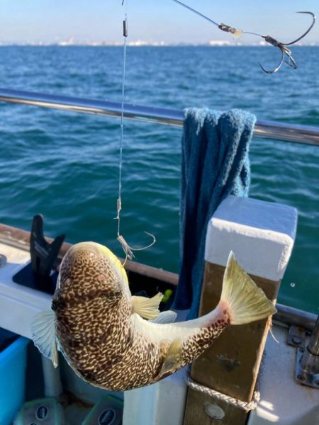 播磨のカットウ釣り