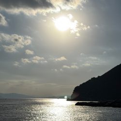 高島 アシカ瀬