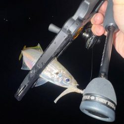 釣り納め