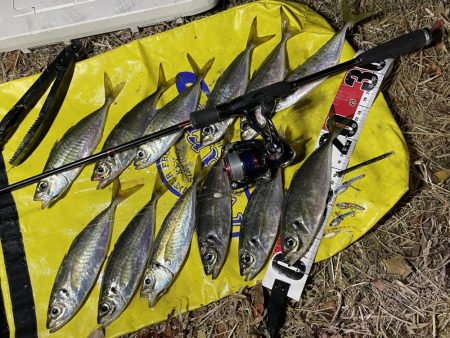 それでも、釣れるからいくぞー