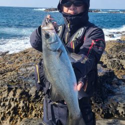 和歌山市江（吉丸渡船）でグレ釣り