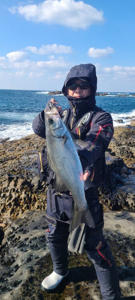 和歌山市江（吉丸渡船）でグレ釣り