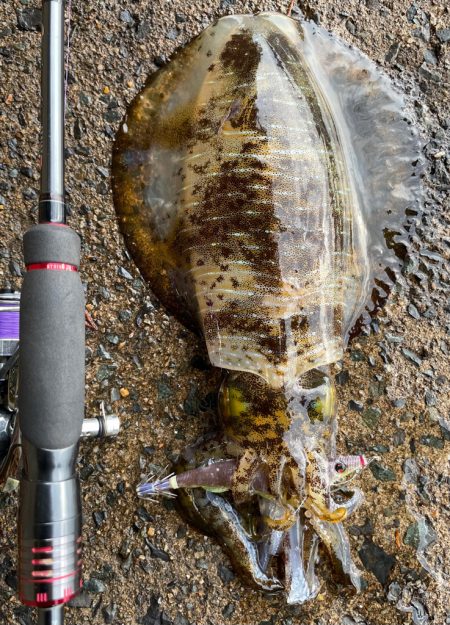 釣り納めと釣り始め！