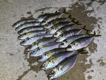 爆風と突風の恐怖！釣りはご安全に！！