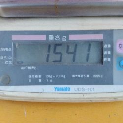 1541g