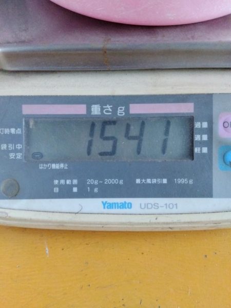 1541g