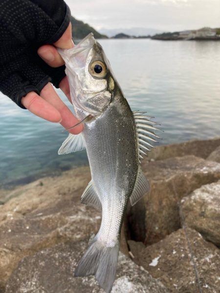 釣り納め