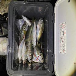 新年2度目の絶好釣