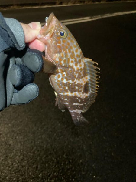 今年の初釣り