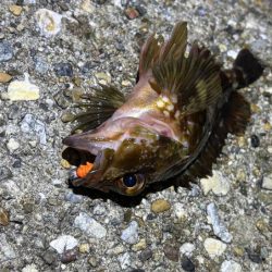 爆風と波で釣りにならず・・・