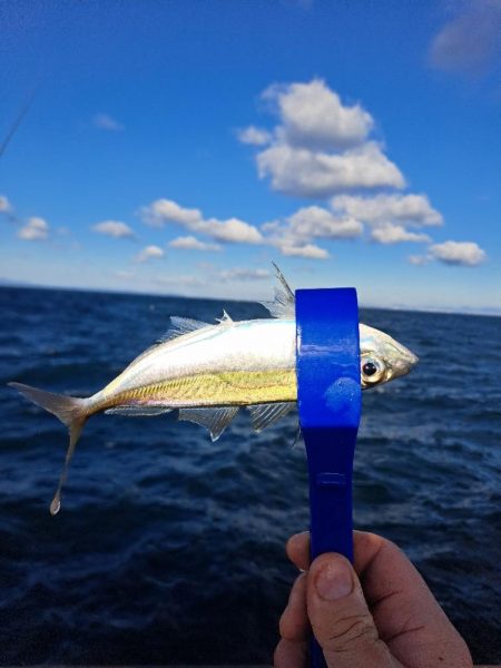 初釣り人だらけ