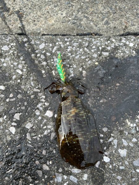 雨の降る前に