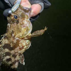 今年の初釣り