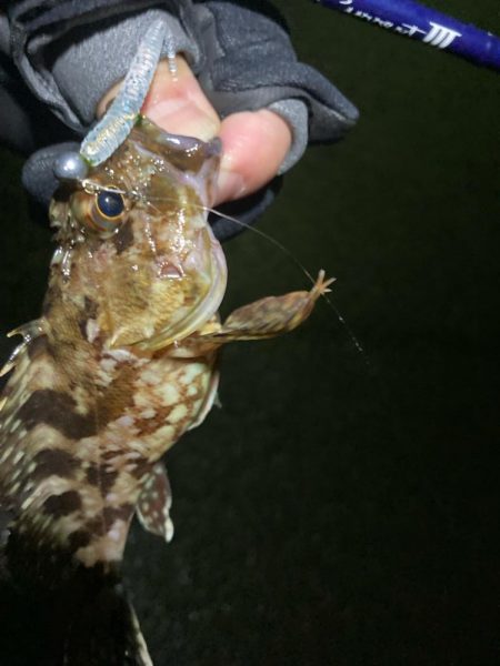 今年の初釣り