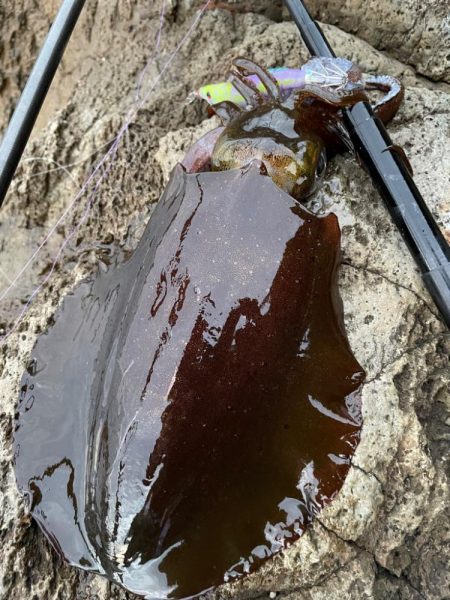 釣り納めと釣り始め！