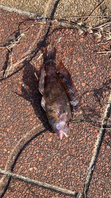 年内最後の釣り