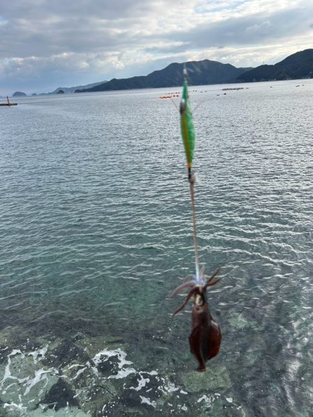雨の降る前に