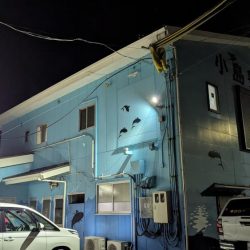 アジング