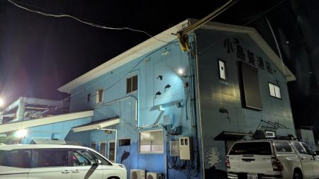アジング