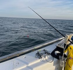 年明け初釣行もカワハギでした