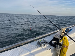 年明け初釣行もカワハギでした