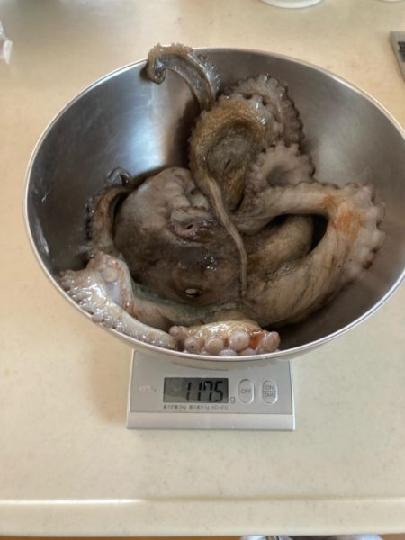 初釣行