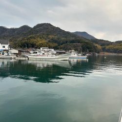 今年初釣りで特選サワラ！