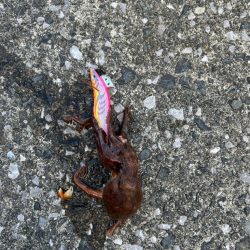 雨の降る前に