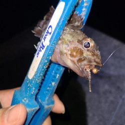 三寒四温